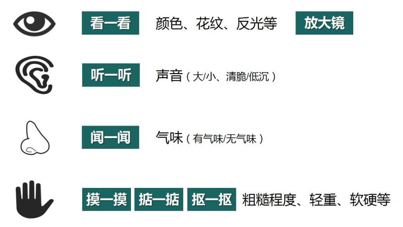 二年级上册科学第二节不同材料的餐具课件＋教案06