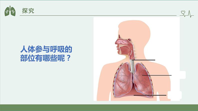 小学科学 教科版 四年级上册《感受我们的呼吸》课件07