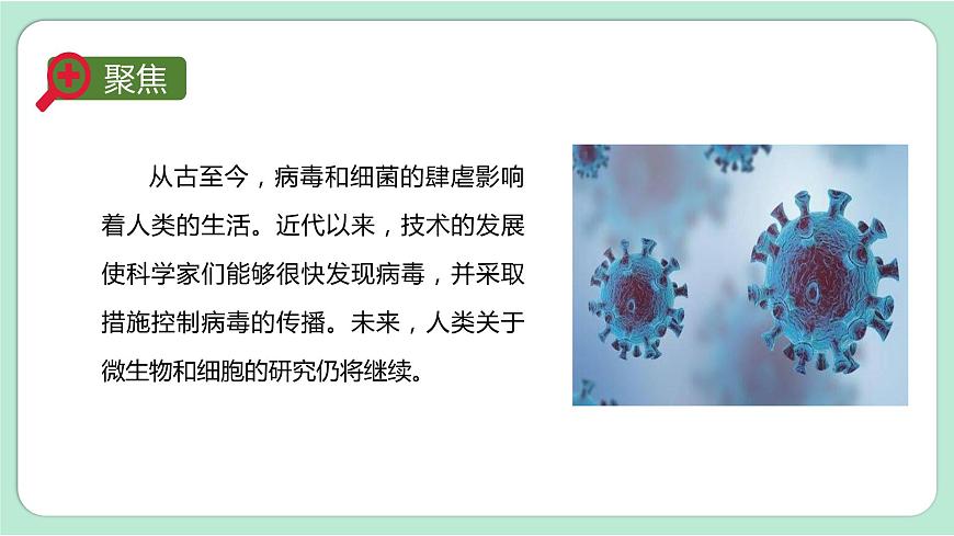 第7課時  微生物與健康第4頁