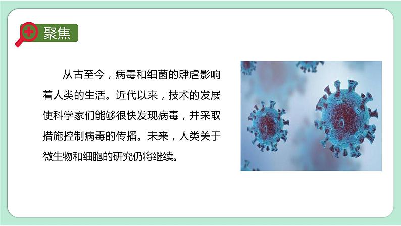 教科版六上科学 1.7《微生物与健康》课件+视频素材04