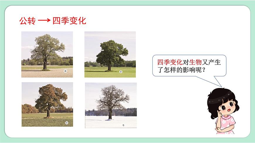 第7課時  晝夜和四季變化對生物的影響第3頁