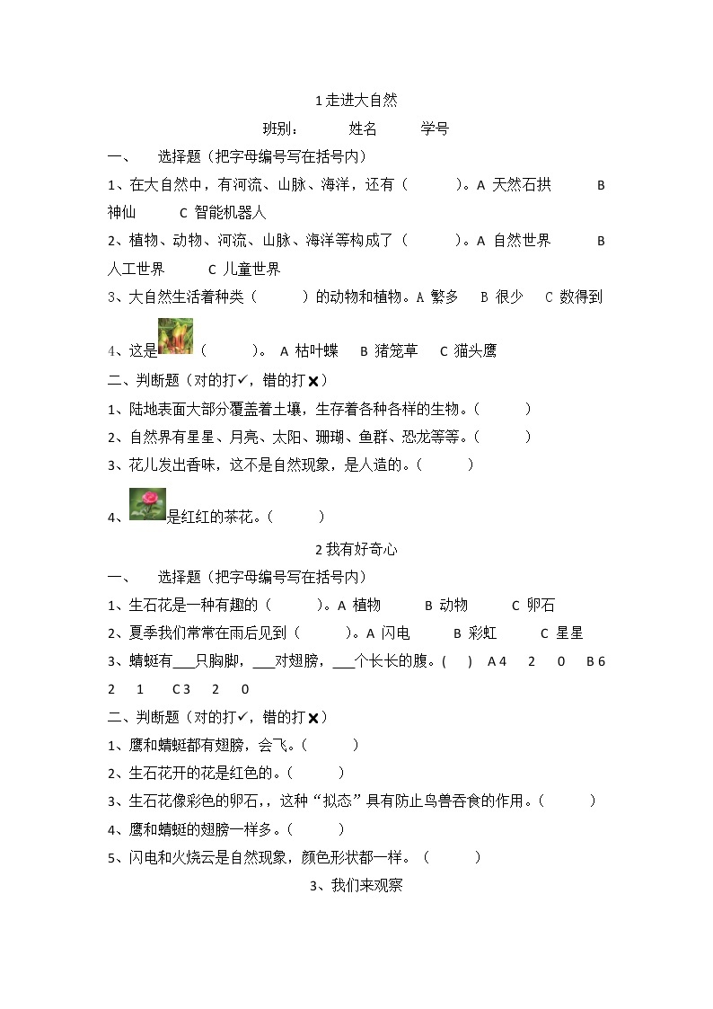 粤教粤科版科学一上 第1单元 认识大自然 测试卷+答案（4课时）01