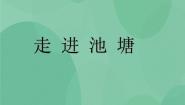 2021学年3 走进池塘优秀ppt课件