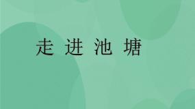 2021学年3 走进池塘优秀ppt课件