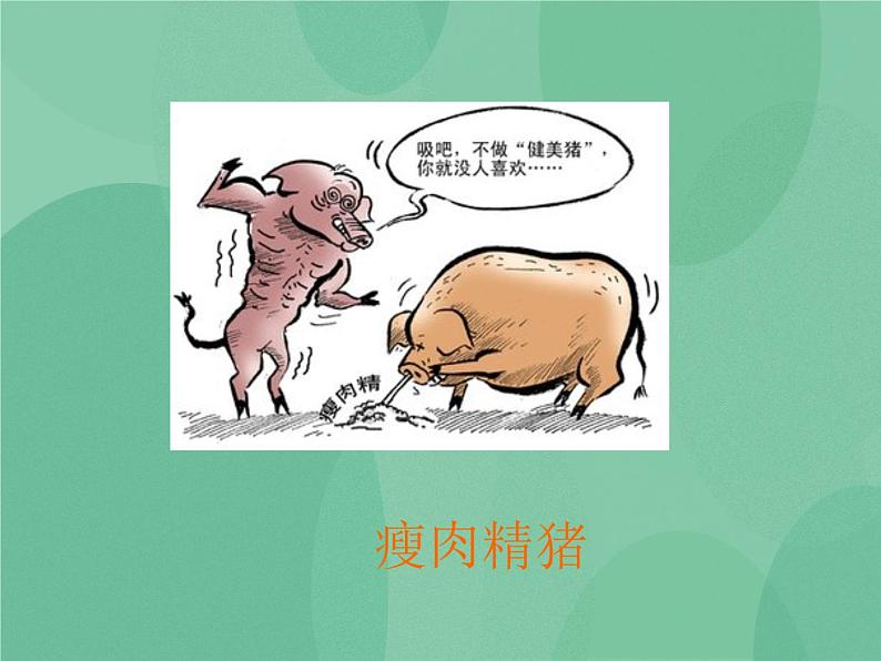 湘教版6上科学 2.3 饮食与健康 课件+教案+素材05
