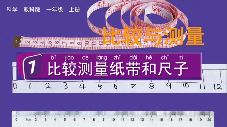 教科版一年级科学上册课件 第二单元 比较与测量 7 比较测量纸带和尺子01