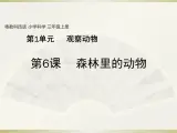小学科学粤教粤科版三年级上册第一单元第6课《森林里的动物》教学课件（2022）