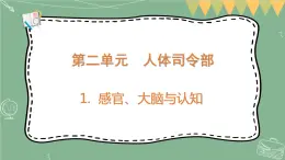 大象版科学五上 2.1 感官、大脑与认知 课件PPT (含练习)