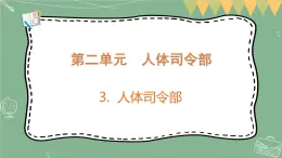 大象版科学五上 2.3 人体司令部 课件PPT (含练习)