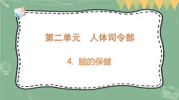 大象版科学五上 2.4 脑的保健 课件PPT (含练习)