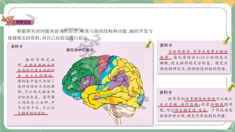 大象版科学五上 2.4 脑的保健 课件PPT (含练习)03