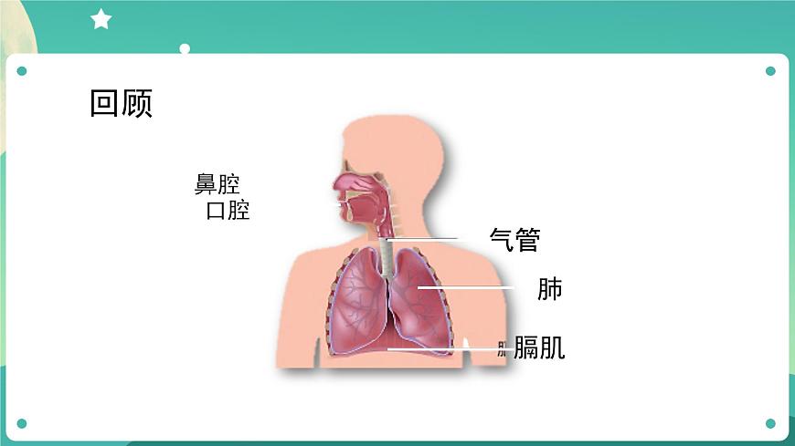 四年級(jí)上冊科學(xué)課件-2.2 呼吸與健康生活 教科版第3頁