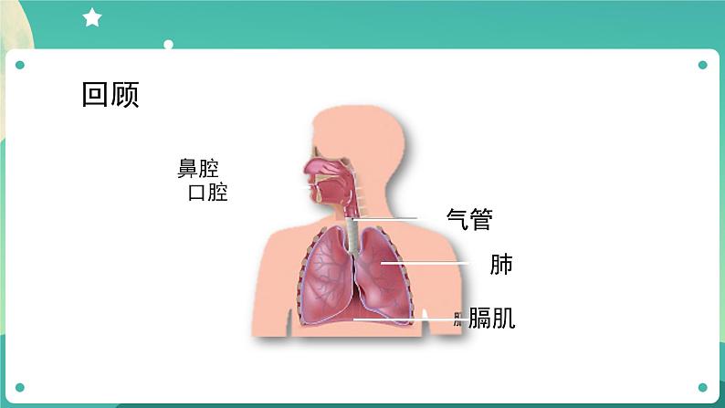 四年级上册科学课件-2.2 呼吸与健康生活 教科版第3页