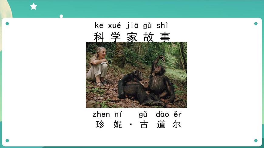 教科版1上科學(xué) 1.1 我們知道的植物 課件第2頁(yè)