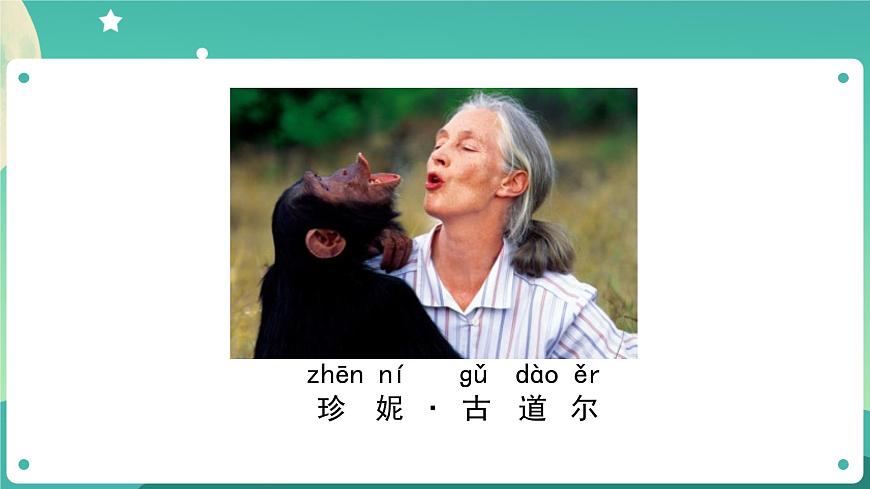 教科版1上科學(xué) 1.1 我們知道的植物 課件第3頁(yè)