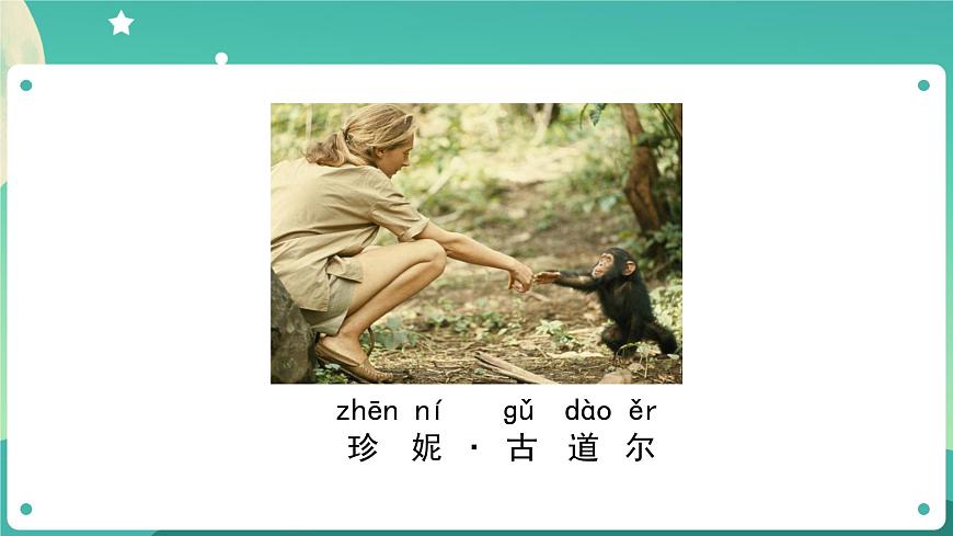 教科版1上科學(xué) 1.1 我們知道的植物 課件第4頁(yè)