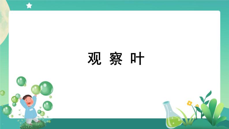 教科版1上科学 1.3 观察叶 课件+教案+练习+任务单+素材01