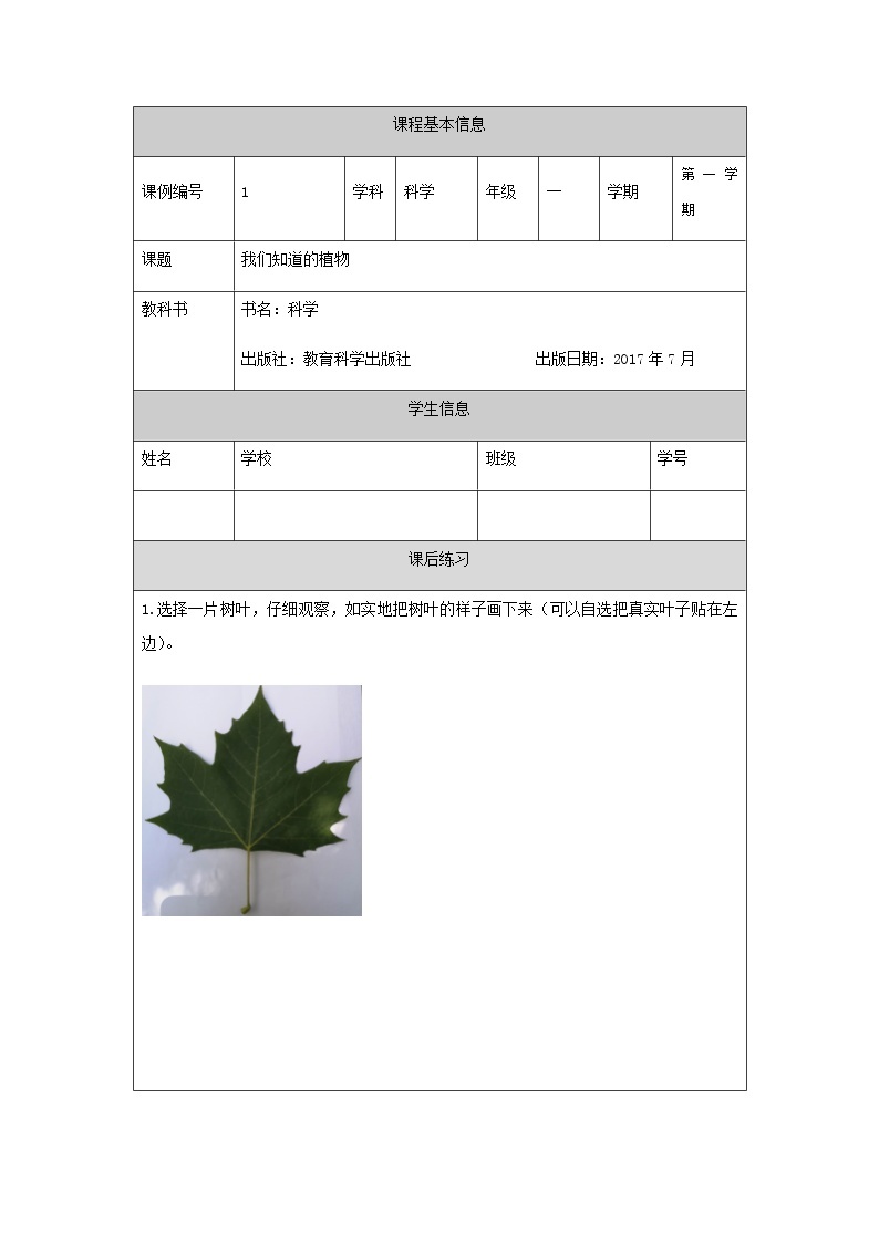 教科版1上科学 1.3 观察叶 课件+教案+练习+任务单+素材01