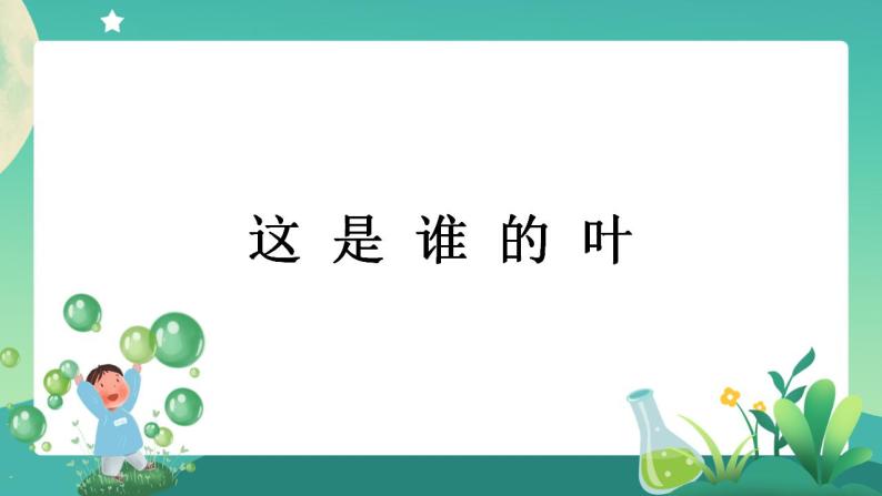 教科版1上科学 1.4 这是谁的叶 课件+教案+练习+任务单+素材01