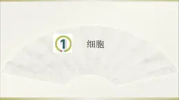 小学科学青岛版六三制六年级上册第一单元第1课《细胞》课件（2022）