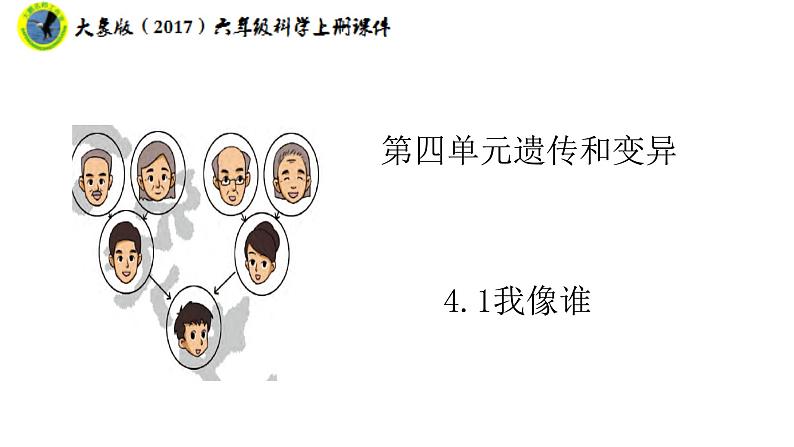 大象版(2017)六年级科学上册4.1我像谁课件+素材第1页