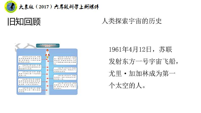 大象版(2017)六年级科学上册4.1我像谁课件+素材第7页
