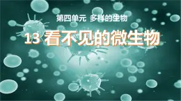 冀人版五上科學(xué) 第13課《看不見的微生物》教案+課件PPT
