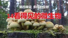 冀人版五下科學(xué) 第14課《看得見的微生物》教案+課件PPT