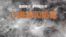 冀人版五下科學(xué) 第15課《發(fā)霉和防霉》教案+課件PPT