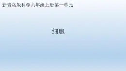 小学科学青岛版六三制六年级上册第一单元第1课《细胞》教学课件