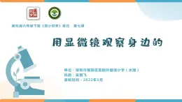 小学科学 教科版 六年级下册  《用显微镜观察身边的生命世界（三）》 PPT 课件