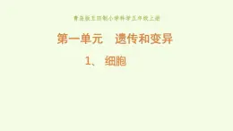 1 、《细胞》教学课件