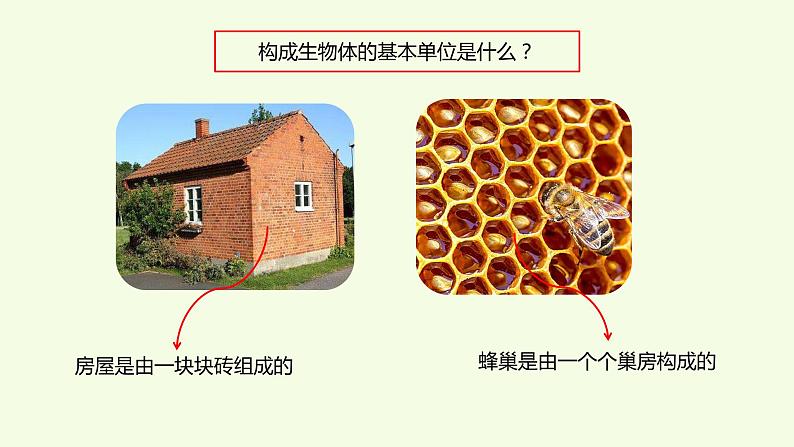 1 、《细胞》教学课件第2页