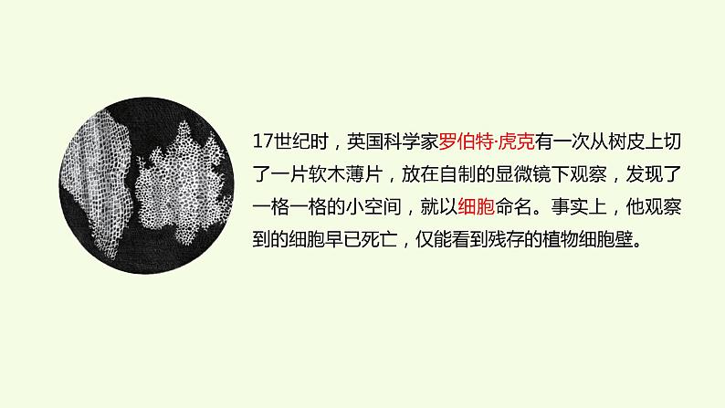 1 、《细胞》教学课件第3页
