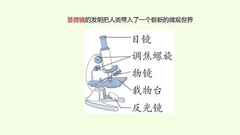 1 、《细胞》教学课件第4页