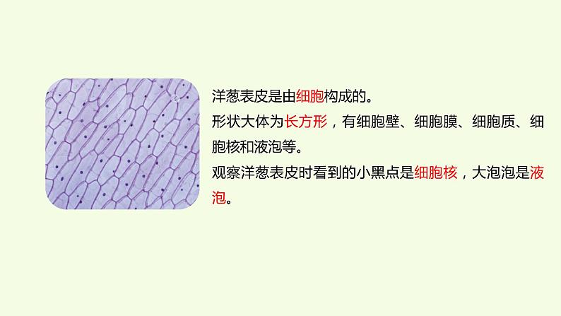 1 、《细胞》教学课件第5页