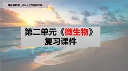 青岛版科学（2017）六年级上册第二单元《微生物》复习课件