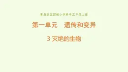 3 、《灭绝的生物》教学课件