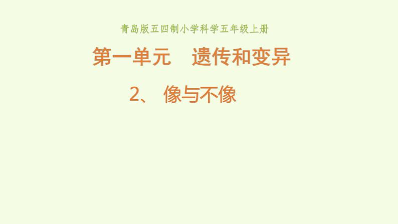2、《像与不像》教学课件01