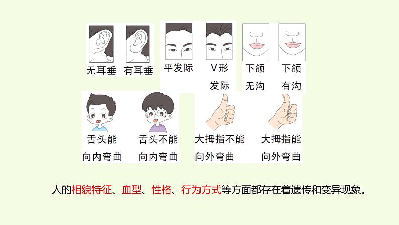 2、《像与不像》教学课件04