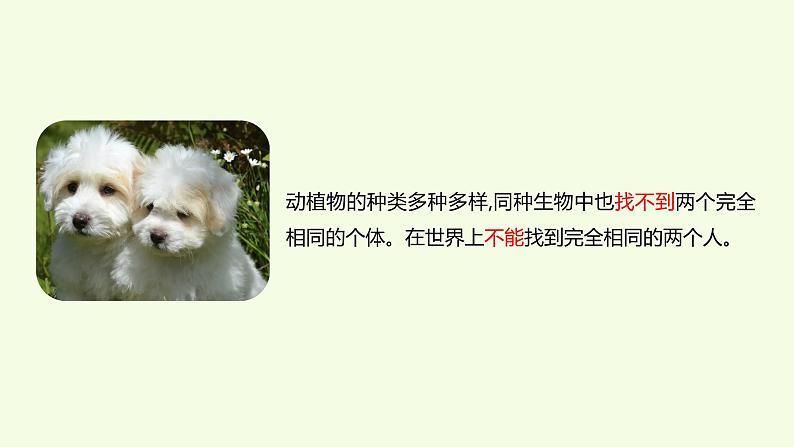 2、《像与不像》教学课件05