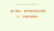 小学科学青岛版 (五四制2017)五年级上册19 生物的栖息地教学ppt课件