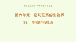 19 、《生物的栖息地》教学课件