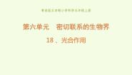 青岛版 (五四制2017)五年级上册18 光合作用教学课件ppt
