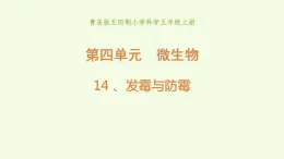 14 、《发霉与防霉》教学课件