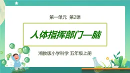 湘科版科学五上：1.2 人体指挥部—脑PPT课件+内嵌视频