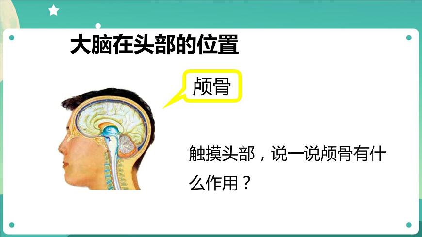 湘科版科學(xué)五上：1.3 保護(hù)我們的腦 PPT課件第2頁(yè)