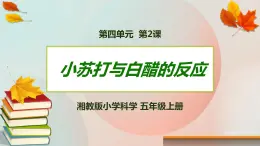 湘科版科学五上：4.2 小苏打与白醋的反应 PPT课件