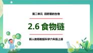 小学科学人教鄂教版 (2017)六年级上册6 食物链优秀课件ppt