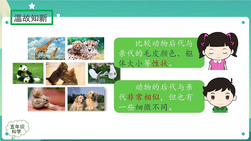 新人教鄂教版五上科學：2.6 植物的后代與親代 課件PPT+內嵌視頻第2頁